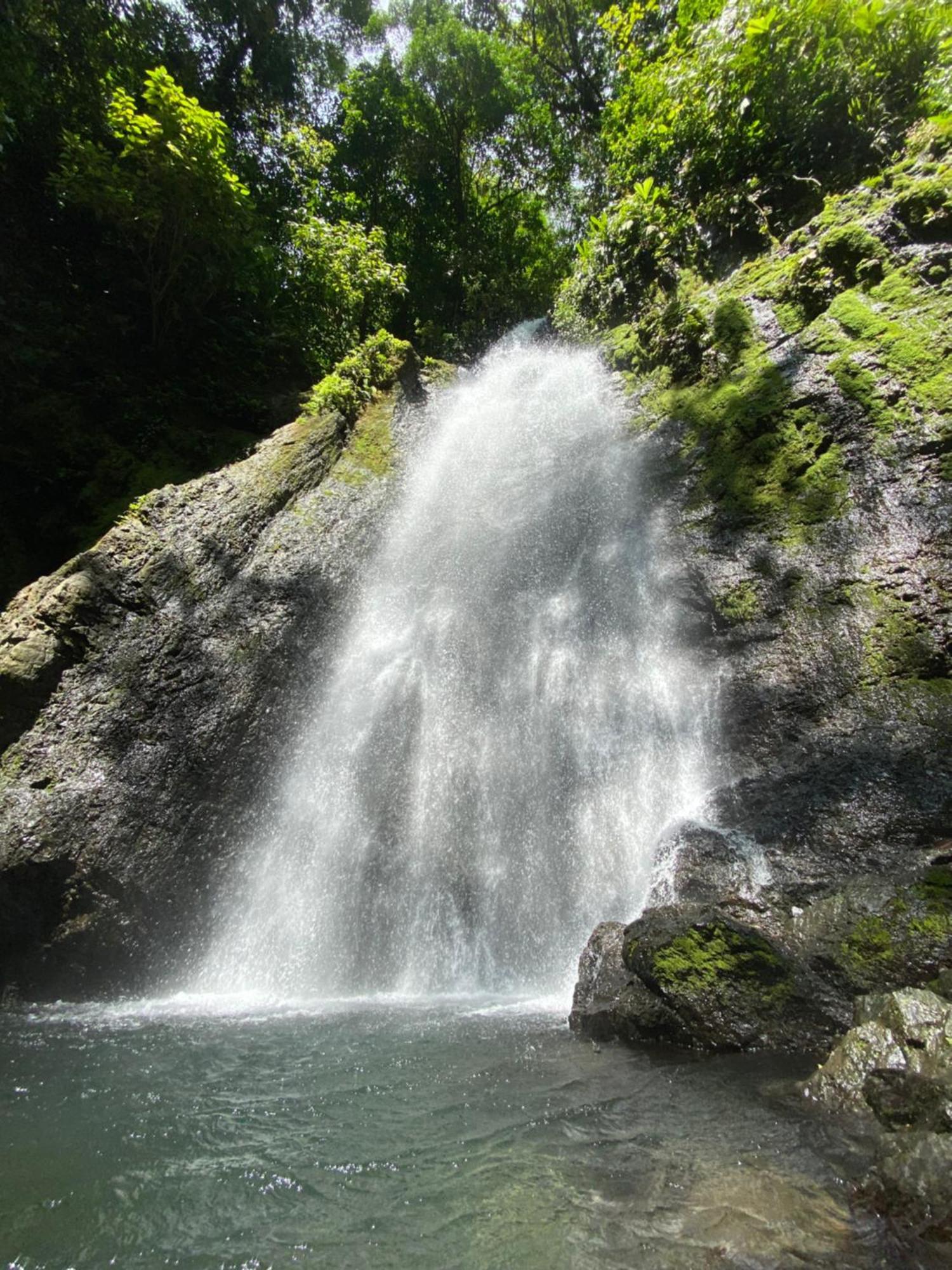 Cabinas Corcovado Green Parrot, Los Planes Drake Drakes Bay Eksteriør billede