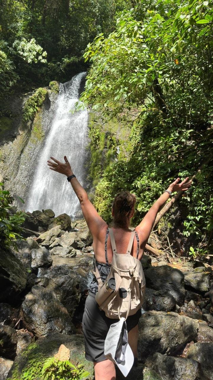 Cabinas Corcovado Green Parrot, Los Planes Drake Drakes Bay Eksteriør billede