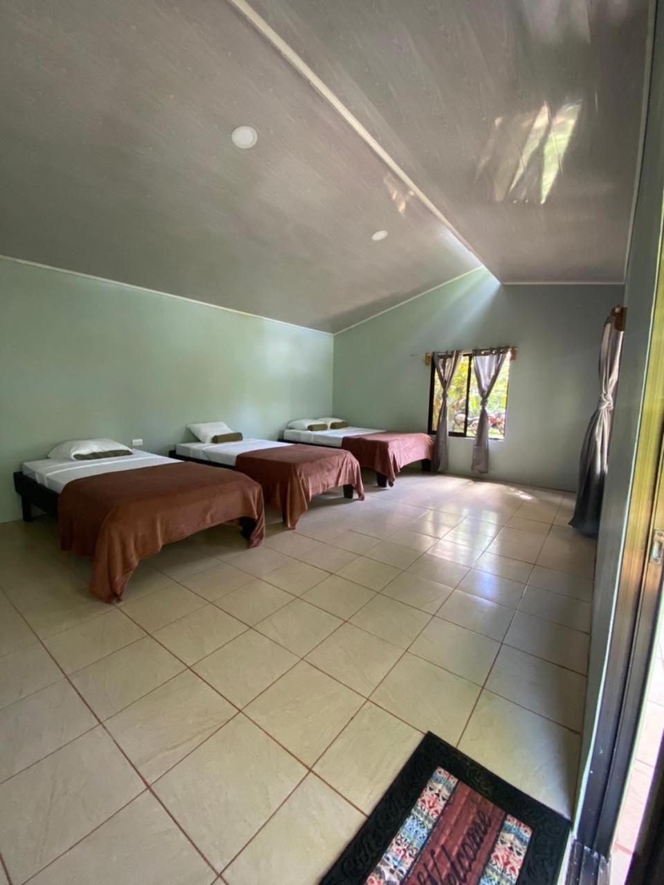 Cabinas Corcovado Green Parrot, Los Planes Drake Drakes Bay Eksteriør billede