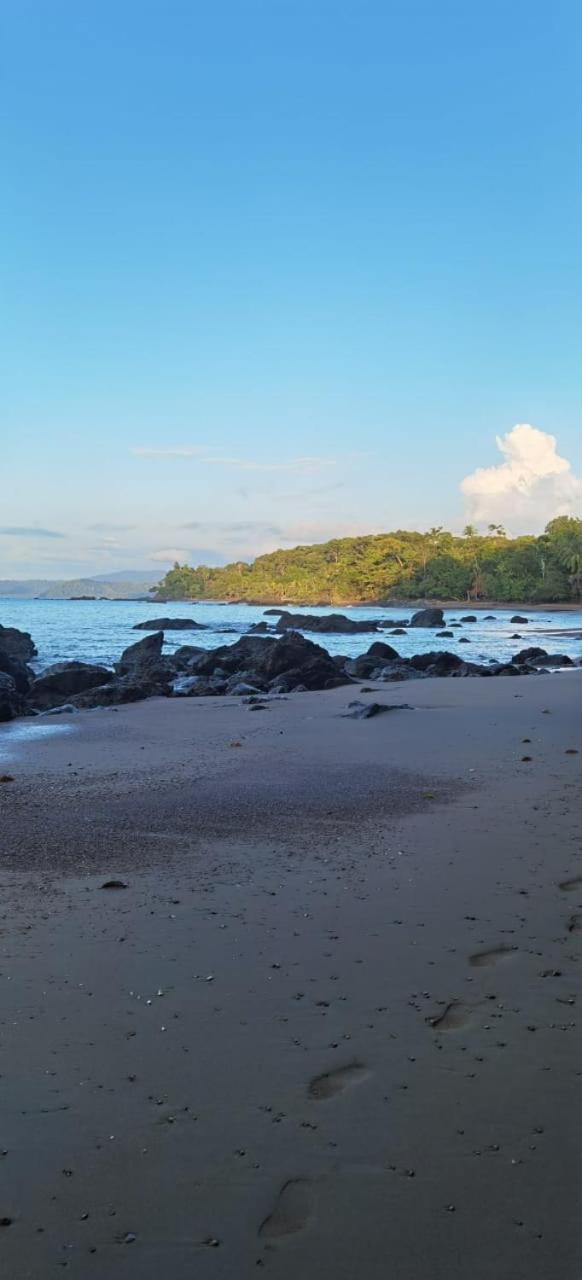 Cabinas Corcovado Green Parrot, Los Planes Drake Drakes Bay Eksteriør billede