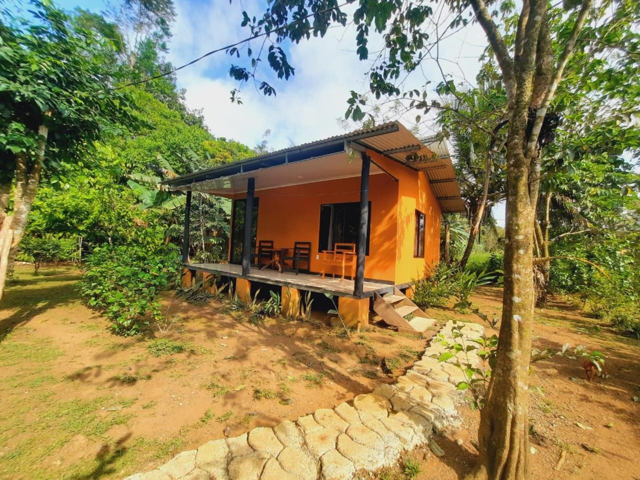 Cabinas Corcovado Green Parrot, Los Planes Drake Drakes Bay Eksteriør billede